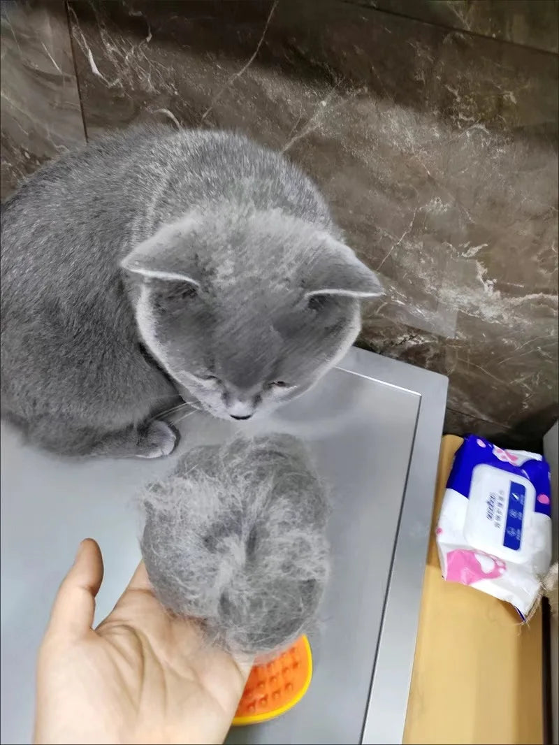 Steam Brush for cats and dogs (cepillo de vapor para gatos y perros)