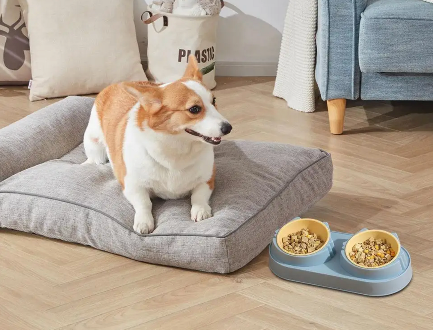 Cats and Dogs BOWL