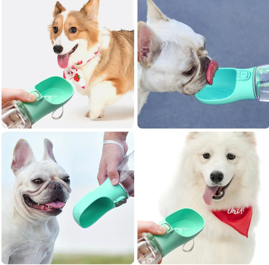 Dog water bottle