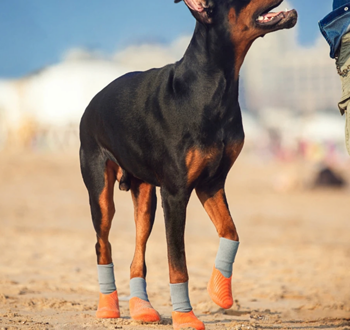 Waterproof Dog boots